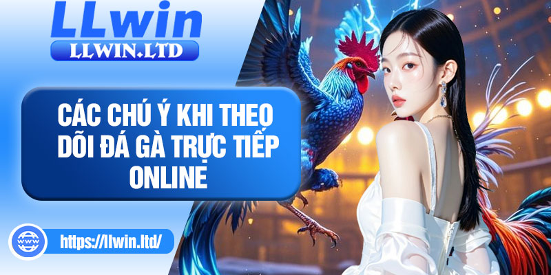 Các chú ý khi theo dõi đá gà trực tiếp Online