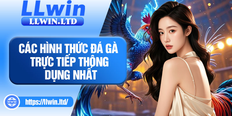 Các hình thức đá gà trực tiếp thông dụng nhất
