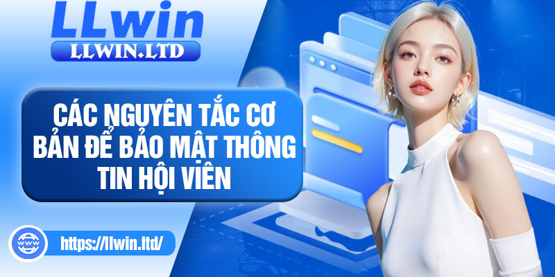 Các nguyên tắc cơ bản để bảo mật thông tin hội viên