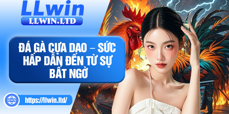 Đá gà cựa dao – Sức hấp dẫn đến từ sự bất ngờ