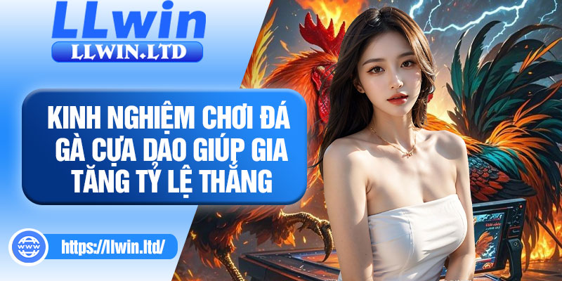 Kinh nghiệm chơi đá gà cựa dao giúp gia tăng tỷ lệ thắng