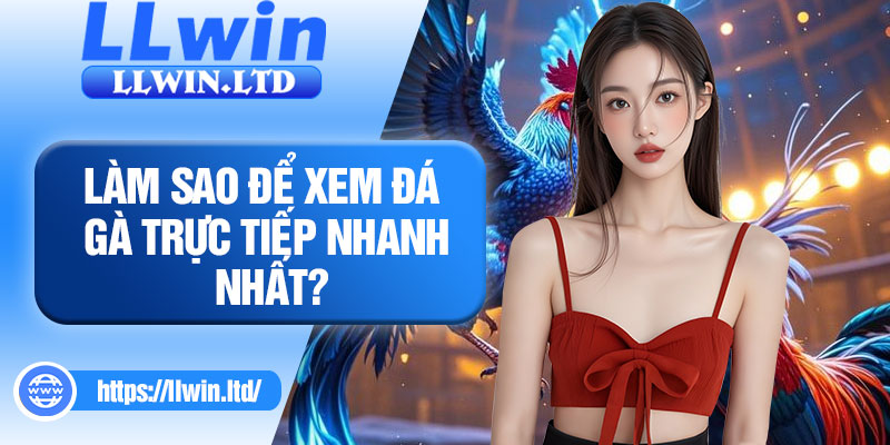 Làm sao để xem đá gà trực tiếp nhanh nhất?