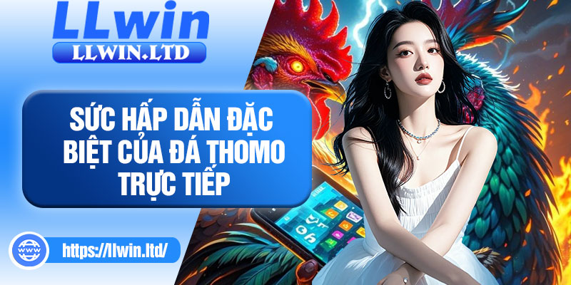 Sức hấp dẫn đặc biệt của đá Thomo trực tiếp