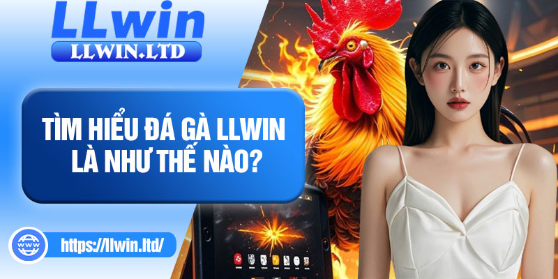 Tìm hiểu đá gà LLWIN là như thế nào?