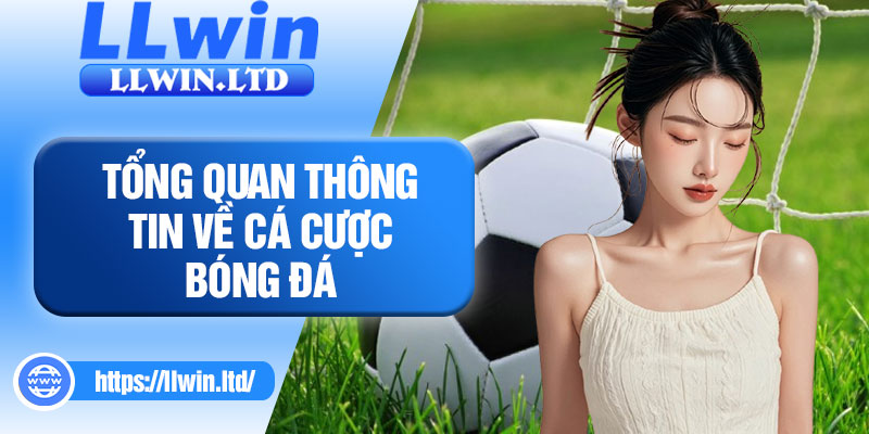 Tổng quan thông tin về cá cược bóng đá