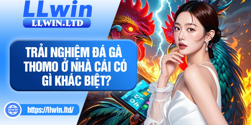 Trải nghiệm đá gà thomo ở nhà cái có gì khác biệt?